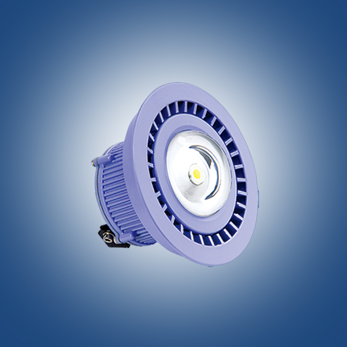 LED flood light  MT05
