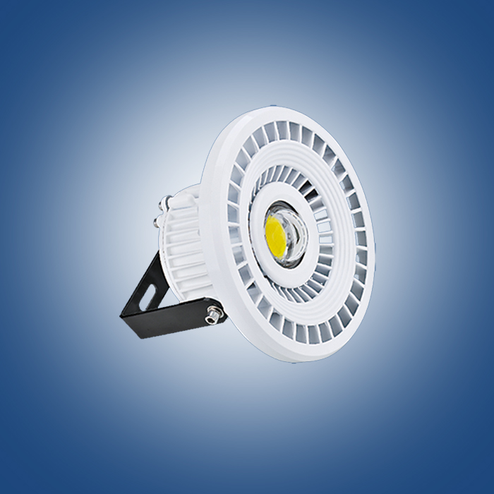 LED flood light  MT01